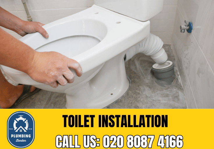 toilet fitters Highburys